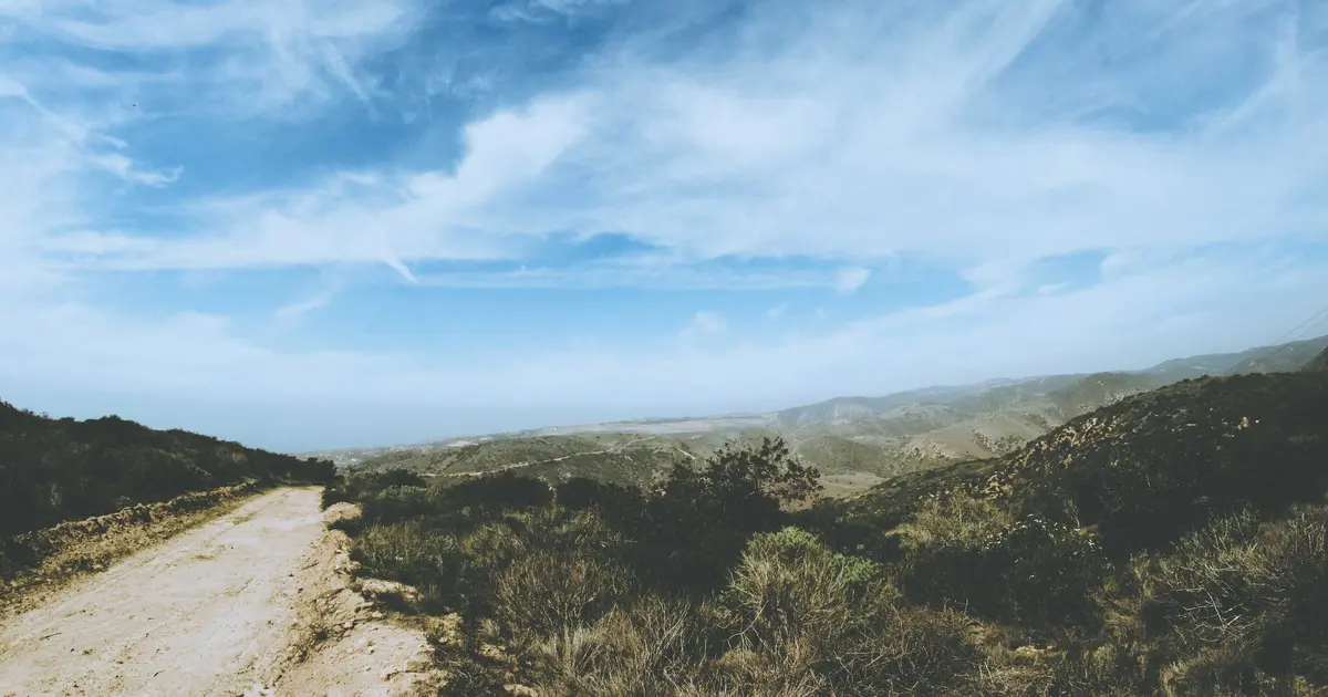 Artificial Intelligence for Real Estate: Beginner’s Guide